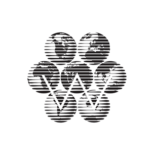 Walker Information Global Network logo Art Direction by: Bart Crosby, Crosby Associates